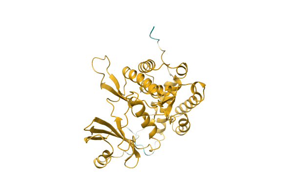 AF-A1UYM9-F1 image