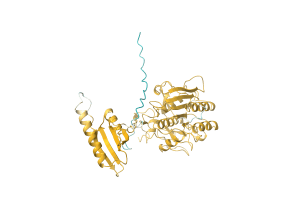 AF-A1XIH0-F1 image
