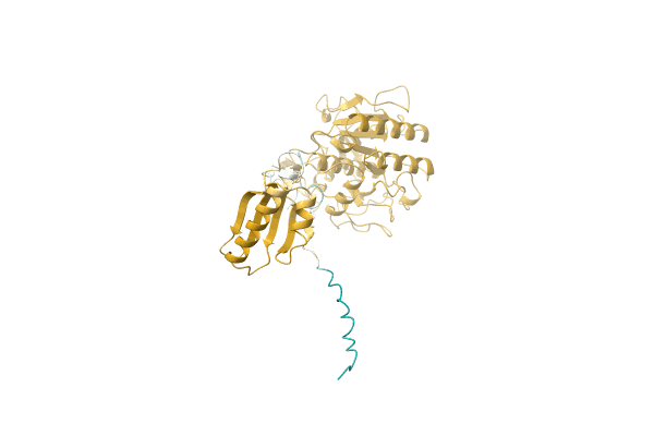 AF-A1XIH3-F1 image