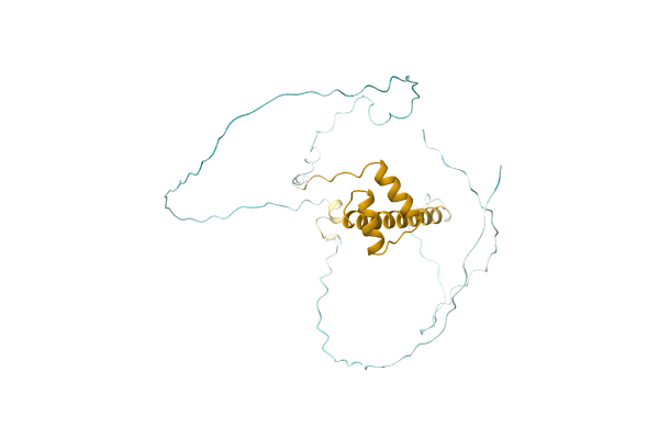 AF-A1YF16-F1 image