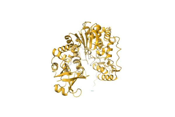 AF-A2SPI9-F1 image