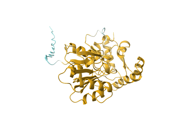 AF-A2TBU1-F1 image