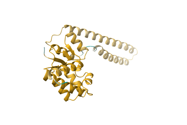 AF-A3DL59-F1 image