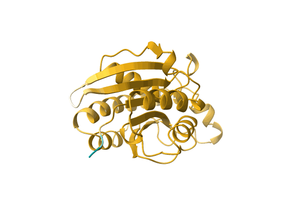 AF-A3MYA5-F1 image