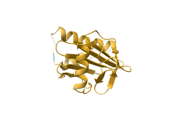 AF-A4GCR8-F1 image