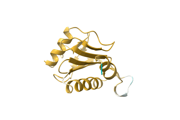 AF-A4GD54-F1 image