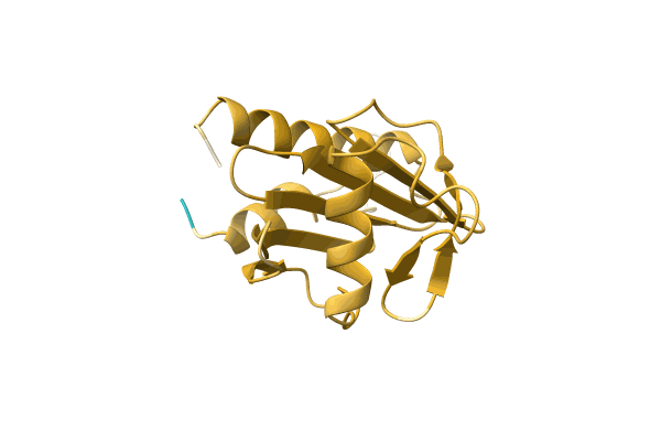 AF-A4GDR8-F1 image