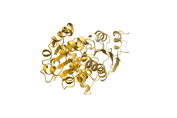 AF-A4SHP4-F1 image