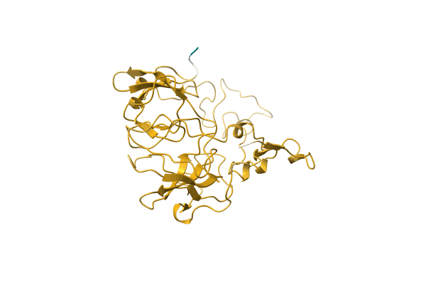 AF-A4VYP6-F1 image