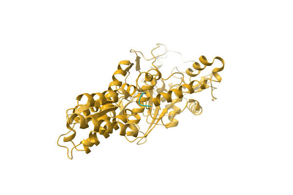 AF-A4WH15-F1 image