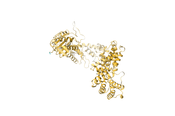 AF-A4Y1A9-F1 image