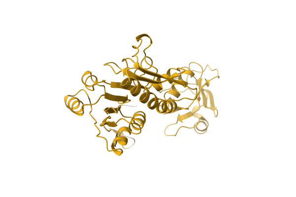 AF-A4Y1C6-F1 image