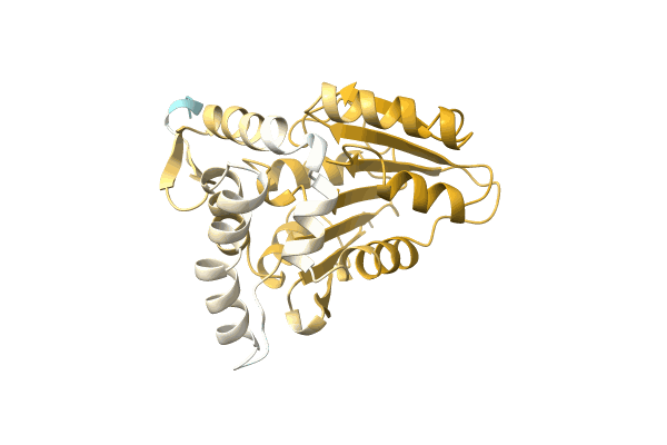 AF-A4YJH0-F1 image