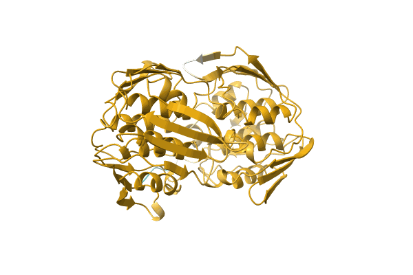 AF-A4YJJ3-F1 image