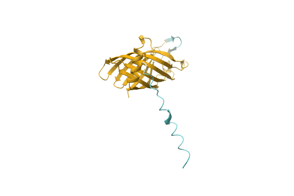 AF-A5I9H6-F1 image