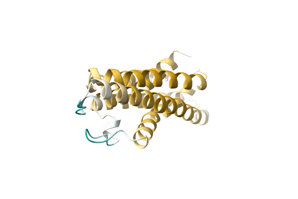 AF-A5WBC5-F1 image