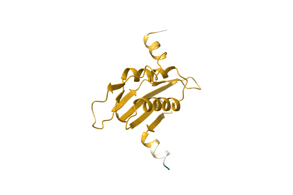 AF-A6Q0W4-F1 image