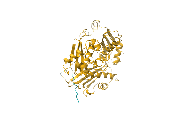 AF-A7H6N1-F1 image