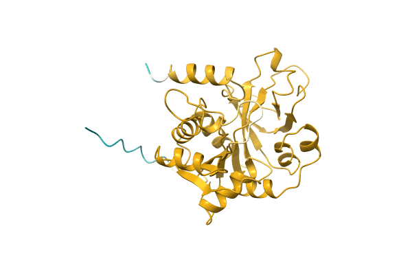 AF-A7HPP1-F1 image