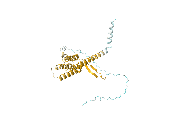 AF-A8N1Z1-F1 image