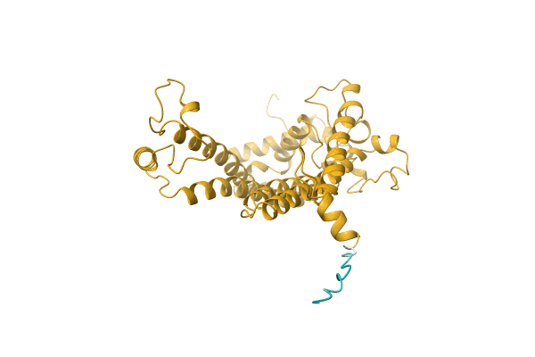 AF-A8W3I2-F1 image