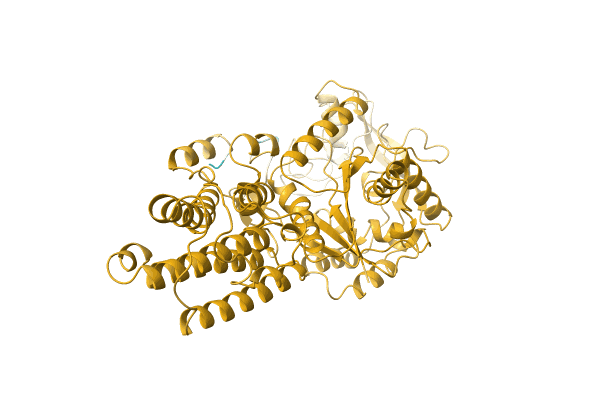 AF-A8ZQ66-F1 image