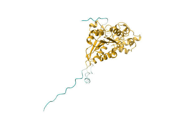AF-A9H0G9-F1 image
