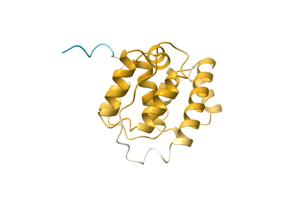 AF-A9HVN4-F1 image