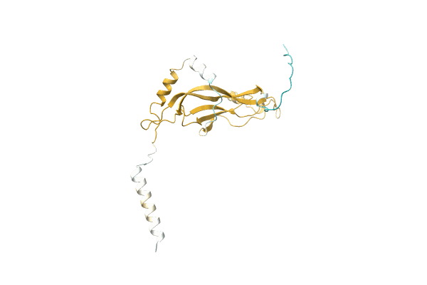 AF-A9XE49-F1 image