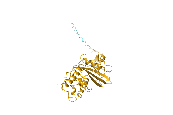 AF-A9YME1-F1 image