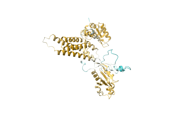 AF-B0SJ24-F1 image
