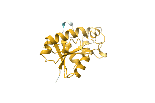 AF-B0URI7-F1 image