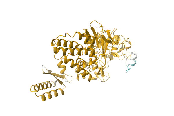 AF-B5YPP1-F1 image