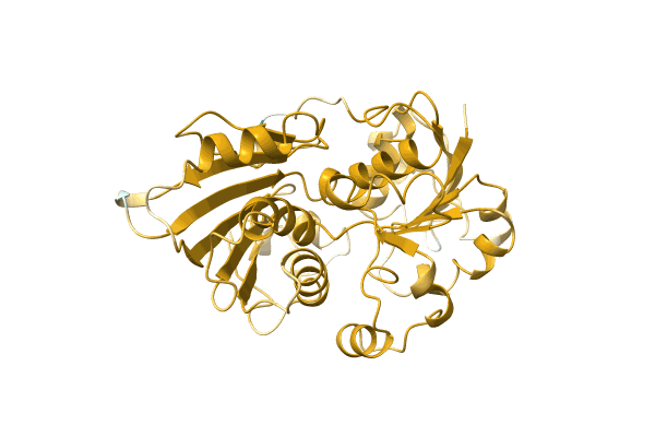 AF-B8GLD4-F1 image