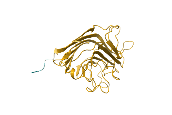 AF-C0HJX1-F1 image