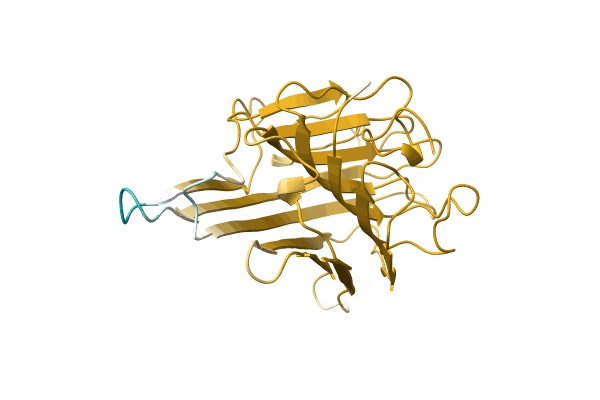 AF-C0HJY1-F1 image