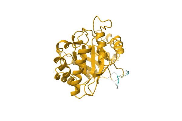 AF-C0JB39-F1 image