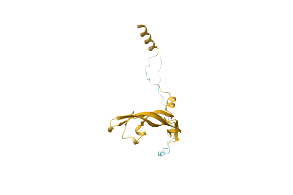AF-C0K3N1-F1 image