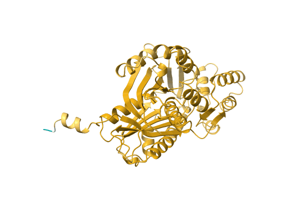 AF-C0SVZ6-F1 image