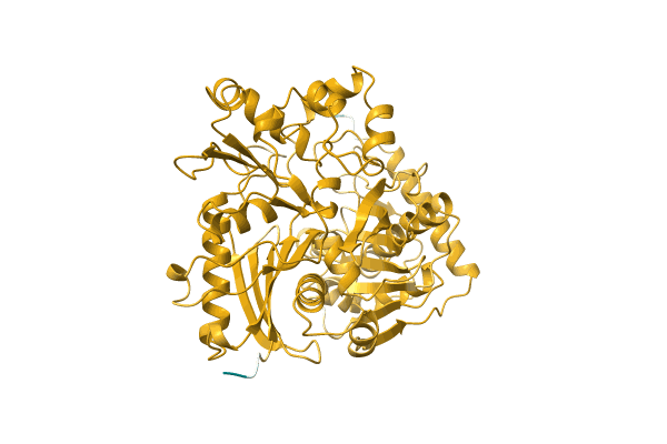 AF-C0Z5A8-F1 image