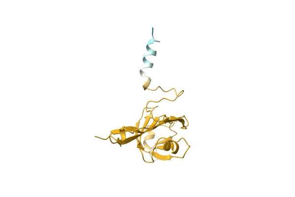 AF-C0ZPL4-F1 image