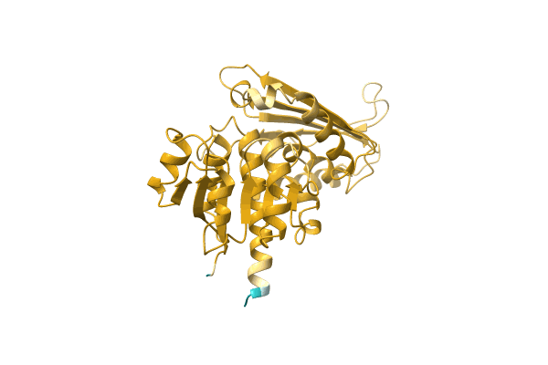 AF-C0ZPX0-F1 image