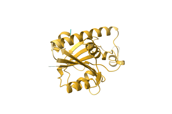 AF-C1CNN8-F1 image