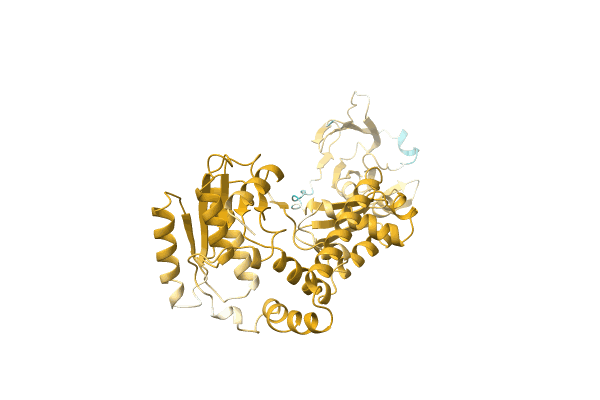 AF-C1CNP4-F1 image