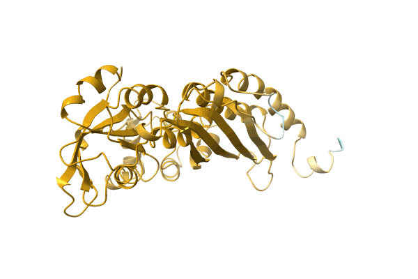 AF-C1CNS6-F1 image