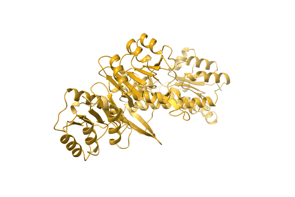 AF-C1CNS9-F1 image