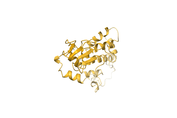 AF-C1CNV7-F1 image