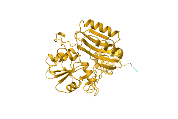 AF-C1CNW3-F1 image