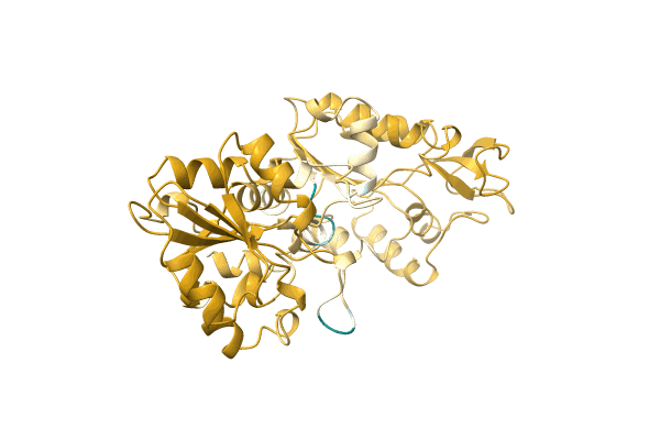 AF-C1CV29-F1 image