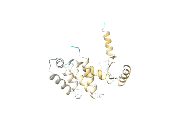 AF-C1DTL2-F1 image